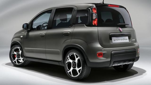 FIAT PANDINA - immagine 2