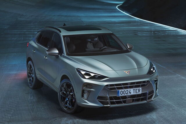 CUPRA TERRAMAR - immagine 3